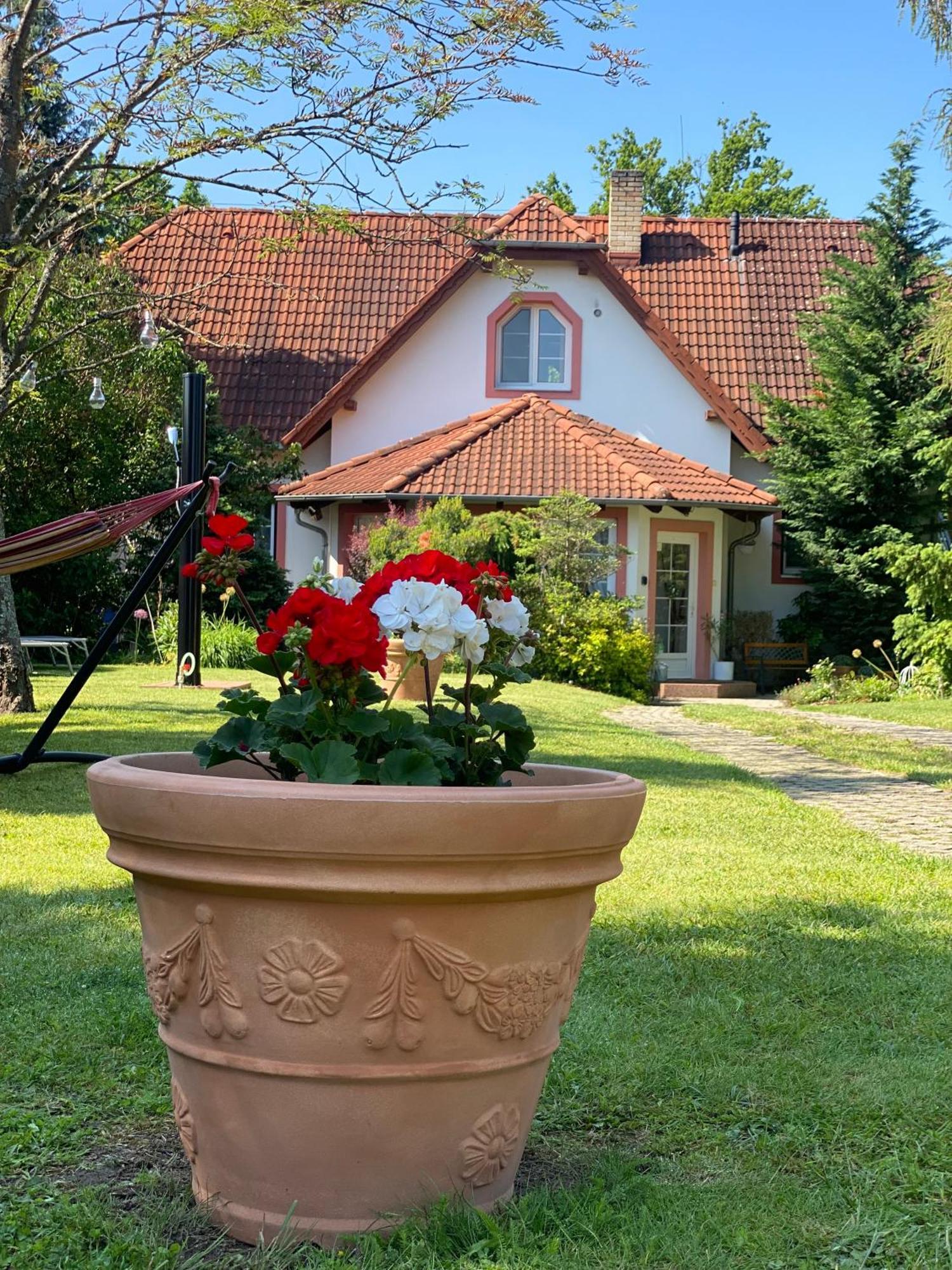 Vila Evio Třeboň מראה חיצוני תמונה